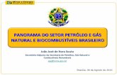 PANORAMA DO SETOR PETRÓLEO E GÁS NATURAL E …az545403.vo.msecnd.net/uploads/2013/08/João-José-de-Nora-Souto... · NATURAL E BIOCOMBUSTÍVEIS BRASILEIRO Brasília, 06 de Agosto