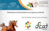 Resistência anti-helmíntica em equinos no Brasil · 2018-09-25 · • Queda de desempenho • Pelagem ... PERCENTUAL DE LARVAS INFECTANTES DE ESTROGILÍDEOS DE EQUINOS EM ... Tanz=Tanzânia;