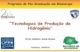 “Tecnologias de Produção de Hidrogênio” · BRASIL: Programa de Ciência, Tecnologia e Inovação para a economia do hidrogênio (ProH2) Centro Nacional de Referência em Energia