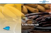 banana - files.prof-vanderufersa.webnode.com.brfiles.prof-vanderufersa.webnode.com.br/200000038-ad346adaec/Banana... · A banana é a segunda fruta mais produzida no Brasil, atrás