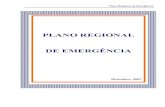 PLANO REGIONAL DE EMERGÊNCIA · Pretende-se com o Plano Regional de Emergência de Protecção Civil dotar a Região de um instrumento para actuação no caso de acidente grave ou