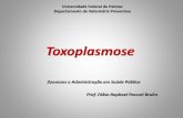 Toxoplasmose - wp.ufpel.edu.br · –Toxoplasmose cerebral (neurotoxoplasmose) foi diagnosticada em 8 –34% dos pacientes com aids no Brasil (Dubey et al., 2012) Sinais clínicos