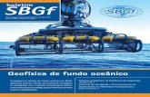 SBGf - seabed-geo.com · do mar até suas posições de registros no leito oceânico, de onde retornam automaticamente através de comando ... Com a crise recente no mercado de O