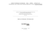 UNIVERSIDADE DE SÃO PAULO - conteudo.icmc.usp.brconteudo.icmc.usp.br/pessoas/taspardo/NILCTR1502-GarayPardo.pdf · Instituto de Ciências Matemáticas e de Computação – ICMC-USP