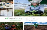 Relatório Relatório de 2017r2017.fibria.com.br/wp-content/uploads/2018/04/Rel-Fibria-2017... · o impacto sobre a fauna local são executadas por meio de uma abordagem paisagística.