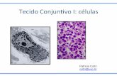Tecido Conjun,vo I: células - coltri.bio.br · • parte do sistema fagocitário mononuclear, derivados de monócitos (medula ... (imunológica) receptores para IgG e IgM ; células