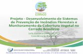 Projeto - Desenvolvimento de Sistemas de Prevenção de ... · Objetivos do Projeto Fortalecer a capacidade institucional do Brasil para monitorar o desmatamento, fornecer informações