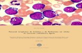 Potencial terapêutico do Sirolimus e da Metformina em ... · de Leucemia Linfoblástica Aguda ... o objetivo deste trabalho foi avaliar o potencial terapêutico da associação entre