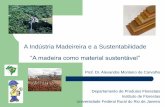 A Indústria Madeireira e a Sustentabilidadefiles.eneim2010.webnode.com.br/...madeiraesustentabilidade.pdf · da Floresta – ACAF; Orsa Florestral Ltda.; ... com o mínimo impacto