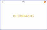 DETERMINANTES - s3.amazonaws.com · Title: 3081-determinantes-dudan Created Date: 20181106163603Z