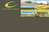 Crediceripa · Relatório de Gestão 2010 - Crediceripa 5 Exportações As exportações do agronegócio brasileiro registraram um crescimento de 270% nos últimos dez anos, segundo