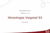 Histologia Vegetal 01 - editoraopirus.com.br · Tecidos Vegetais Tecido de formação (Meristemático) Tecido Adulto (Especializado) Crescimentos Crescimento primário Crescimento