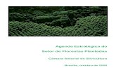 Setor de Florestas Plantadas - Veracel · de eucalipto e pinus, em busca dos dados do crescimento projetado para os próximos 5 anos, da conseqüente demanda da madeira, e a projeção