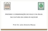 PREPARO E CONSERVAÇÃO DO SOLO E DA ÁGUA NA … · preparo e conservaÇÃo do solo e da Água na cultura da cana-de-aÇÚcar prof. dr. jairo antonio mazza . ... procedimentos para
