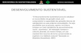 DESENVOLVIMENTO SUSTENTÁVEL - Fiep · Padrão de indicadores de sustentabilidade do IBGE e da CSD (Comissão de ... Dimensão Institucional - melhor desempenho - 100% positivo.