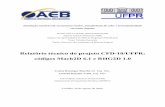 Relatório técnico do projeto CFD-10/UFPR: códigos Mach2D 6 ...ftp.demec.ufpr.br/CFD/Mach2D7/documentos/Relatorio_Mach2D_RHG2D.pdf · Simulação numérica de escoamento reativo,