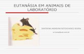 EUTANÁSIA EM ANIMAIS DE LABORATÓRIO - fo.usp.br · eutanÁsia em animais de laboratÓrio ekaterina akimovna botovchenco rivera e.rivera@uol.com.br