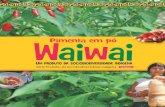 Série Produtos da Sociobiodiversidade Indígena Volume I · benefícios oriundo do uso sustentável da biodiversidade e a ... em folhas de bananeira. As pimentas e pimentões, da