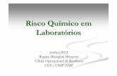 Risco Químico em Laboratórios - fcm. · PDF file Acetileno Cloro, bromo, flúor, cobre, prata e Mercúrio. Acetonitrila Ácido sulfúrico, oxidantes fortes (percloratos e nitratos)