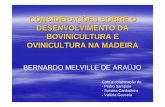 Considerações sobre o desenvolvimento da Bovinicultura e ... · - Melhoramento das Estruturas da Estação Zootécnica da Madeira e do Centro de Ovinicultura da Madeira - Programa