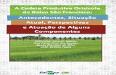 Ministério da Agricultura, Pecuária e Abastecimentoainfo.cnptia.embrapa.br/.../bitstream/item/99576/1/Cartilha-BSF.pdf · preparo do solo e colheita. Por isso, utilizam prestação