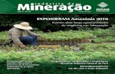 Mineração indústria da - Instituto Brasileiro de Mineração · de ferro e o processamento da produção de ferro-gusa, a partir dos sistemas convencio-nais e de novas tecnologias.
