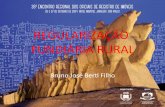 REGULARIZAÇÃO FUNDIÁRIA RURAL - IRIB - O site do ...irib.org.br/files/palestra/36-regional-12.pdf · abrange a outorga do direito real) e no cartório de Registro de ... , de 1997,