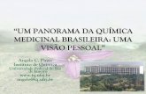 “UM PANORAMA DA QUUM PANORAMA DA QUÍÍMICA MICA … · •Doenças virais são pouco estudadas no País, apesar do programa do tratamento da AIDS no Brasil ser modelo para o mundo.