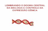Introdução da disciplina - Moodle USP: e-Disciplinas · para a sequência de aminoácidos das proteínas –RNA transportador ... Diz-se que as sequências que antecedem o ponto