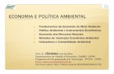Prof. Dr. Christian Luiz da Silva - feam.brfeam.br/.../cursos/economia_ambiental/economia_pol_ambiental.pdf · Fonte: BRAGA et al. Indtrodução a Engenharia Ambiental. 2005. ...