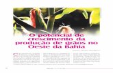 O potencial de crescimento da produção de grãos no Oeste ... · de grãos no Oeste da Bahia A produção baiana de soja em 2006 deverá atingir 2,0 milhões de toneladas, segundo