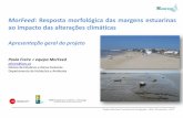 MorFeed: Resposta morfológica das margens estuarinas ao ... PDFs/morfeed_apreset_1_p_freire.pdf · Projeto MorFeed. Seminário de Divulgação , LNEC, 30 setembro 2013 Ceia, 2011.