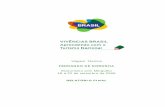 RELATÓRIO FINAL FERNANDO DE NORONHA - turismo.gov.br · O projeto VIVÊNCIAS BRASIL: aprendendo com o turismo nacional foi formatado em 2005, no âmbito do macroprojeto Brasil, ...