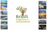 NÚCLEO TEMÁTICO COPA ORGÂNICA E SUSTENTÁVEL · Minas 2013 Food Show EXPOMinas ch Rondônia Feiras Regionai s (AÇÕES INTEGRAD AS com Gov local) NORTE ... Introduzir a Campanha