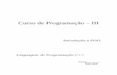 Curso de Programação – IIIismael/Cursos/YC++/apostil... · Curso de Programação – III Introdução a POO Linguagem de Programação C++ Autores: Renato Borges André Clínio.