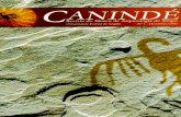 Canindé, Xingó, nº 1, Dezembro de 2001 - Portal UFS - O MAXmax.ufs.br/uploads/page_attach/path/1571/Canind__01.pdf · o início da colonização portuguesa. ... como a região