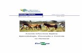 Anemia Infecciosa Eqüina: Epizootiologia, Prevenção e ... · PDF file importante atividade econômica do Pantanal - a pecuária de corte, a qual ... do manejo inadequado dos animais.