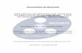 Dissertação de Mestrado INFLUÊNCIA DA PRESENÇA DE … · A Usina Hidrelétrica Irapé, localizada na região nordeste do estado de Minas Gerais - vale do rio Jequitinhonha, ...
