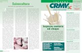 Aumento da exportação anima profissionais Nº 68001097-DR ...crmvsc.gov.br/pdf/informecrmv-04.pdf · carne suína no Brasil cresça 3,4%em2008. Divulgação/Cidasc Impresso fechado,