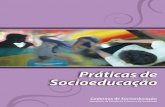 CADERNOS DE SOCIOEDUCAÇÃO - BIBLIOTECA DIGITAL …bibliotecacrescersemviolencia.org/pdf/4_programa_socioeducativo/D2... · adolescente em conflito com a lei no Paraná, ... É nosso