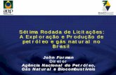 Sétima Rodada de Licitações: A Exploração e Produção de …rodadas.anp.gov.br/arquivos/Round7/arquivos_r7/Aud_Publica_Apres/... · – O volume de óleo e gás natural já