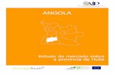 Mensagem do Presidente da Associação Industrial Portuguesa ...portugalcolombia.com/media/EstudodeMercado_AIP_Huila.pdf · tendo desenvolvido sobre este mercado, entre outros, guias