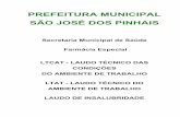 PREFEITURA MUNICIPAL SÃO JOSÉ DOS PINHAIS · CNAE: 84.11-6/00 Grau de Risco da Atividade: 1 Prefeito Municipal: Luiz Carlos Setim Secretário(a) Municipal: Brasilio Vicente de Castro