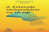A E - UNESP: - Portal da Universidade Estadual Paulista6.2.4.6 Geração de Produtos e Processos ..... 56 6.2.4.7 Coerência entre os Objetivos e a Fundamentação Teórica / Metodológica