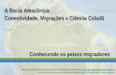 A Bacia Amazônica: Conectividade, Migrações e Ciência ...cienciaciudadanaparalaamazonia.org/.../07/Os_peixes_que_migram_web.pdf · no livro Peixes Comerciais de Manaus, de Geraldo