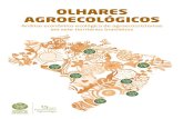 OLHARES AGROECOLÓGICOS - agroecologia.gov.bragroecologia.gov.br/.../2_livro_Olhares-Agroecologicos_web.pdf · Galbraith na apresentação da edição inglesa de seu livro A economia