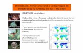 Diversidade, História Natural e Conservação de Vertebrados ... Visão crítica sobre a fauna de vertebrados da América do Sul e o ... ESTADO DO CONHECIMENTO DA DIVERSIDADE Diversidade,