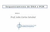 Prof. João Carlos Setubal - iq.usp.br · pela adição de nucleotídeos ... a quantidade de uma certa sequência de DNA de interesse ... (dNTPs) ou seja, nucleotideos contendo grupos