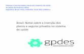 Brasil: Notas sobre a inserção dos planos e seguros ... · Integral dos Gastos com Saúde . ... Acepções sobre as Relações entre o Público e o Privado/ Gestão > Eficiência