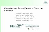 Caracterização da Fauna e Flora do Cerradosimposio.cpac.embrapa.br/.../Caracteristicas_cerrado_rbmachado.pdf · Caracterização da Fauna e Flora do Cerrado Ricardo B. Machado,